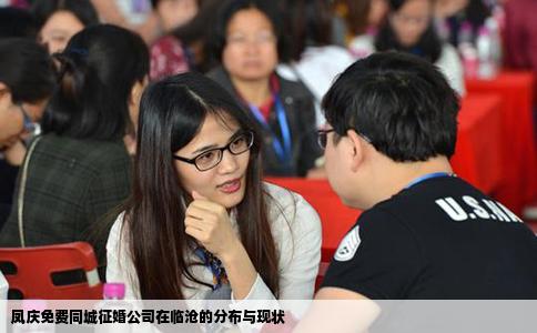 凤庆免费同城征婚公司在临沧的分布与现状