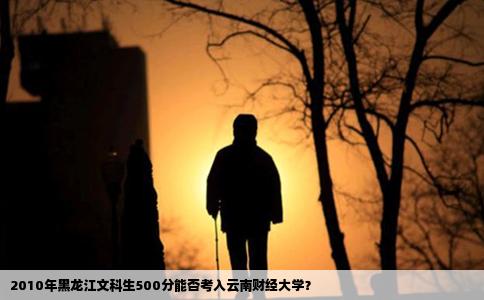 2010年黑龙江文科生500分能否考入云南财经大学？