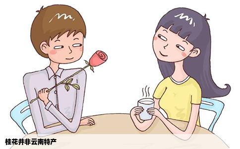 桂花并非云南特产