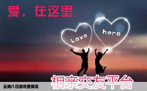 云南八日游花费概览