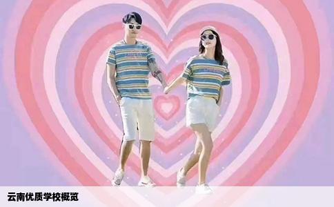 云南优质学校概览