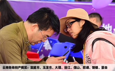 云南各地特产概览：宣威市、玉溪市、大理、丽江、保山、昭通、楚雄、蒙自