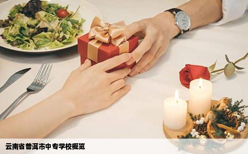 云南省普洱市中专学校概览