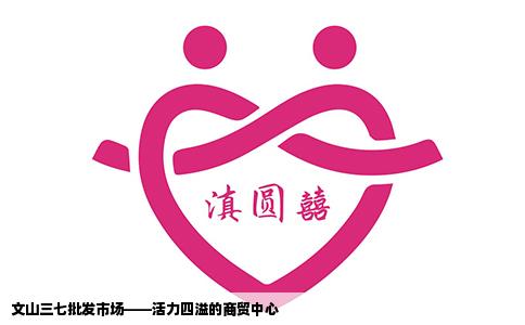 文山三七批发市场——活力四溢的商贸中心