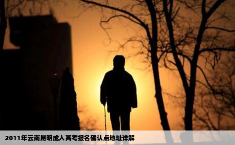 2011年云南昆明成人高考报名确认点地址详解