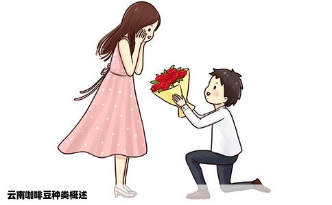 云南咖啡豆种类概述