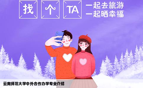 云南师范大学中外合作办学专业介绍