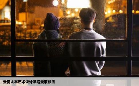 云南大学艺术设计学院录取预测