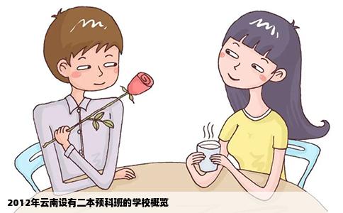 2012年云南设有二本预科班的学校概览