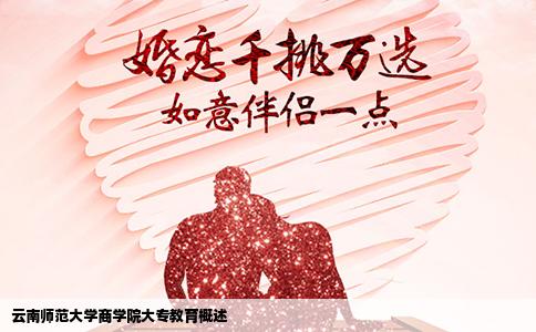 云南师范大学商学院大专教育概述