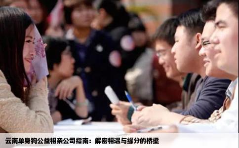 云南单身狗公益相亲公司指南：解密相遇与缘分的桥梁