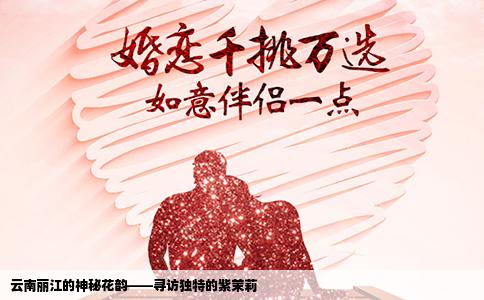 云南丽江的神秘花韵——寻访独特的紫茉莉