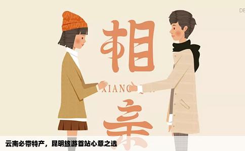 云南必带特产，昆明旅游首站心意之选