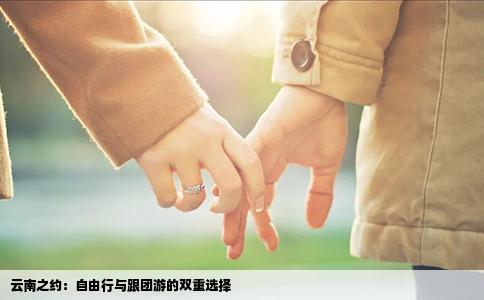 云南之约：自由行与跟团游的双重选择