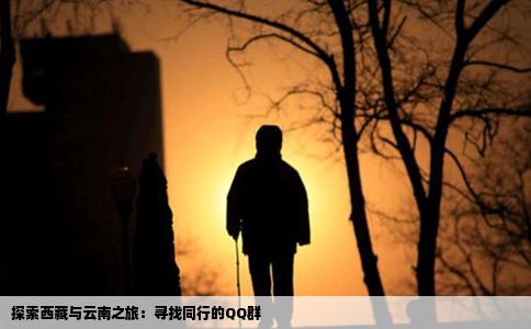 探索西藏与云南之旅：寻找同行的QQ群