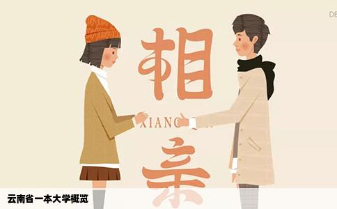 云南省一本大学概览