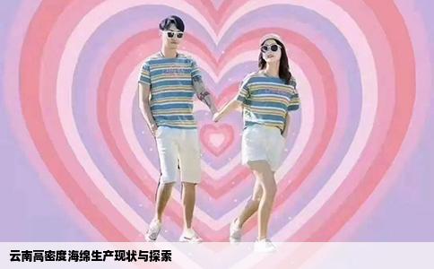 云南高密度海绵生产现状与探索