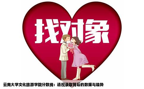 云南大学文化旅游学院分数线：透视录取背后的数据与趋势