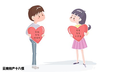 云南特产十八怪