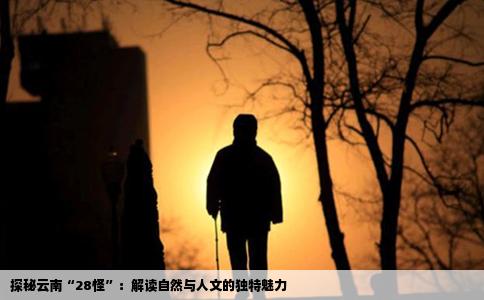 探秘云南“28怪”：解读自然与人文的独特魅力