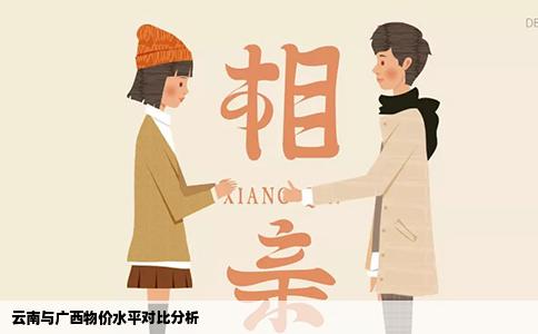 云南与广西物价水平对比分析