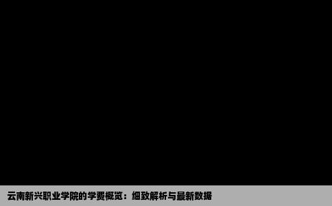 云南新兴职业学院的学费概览：细致解析与最新数据