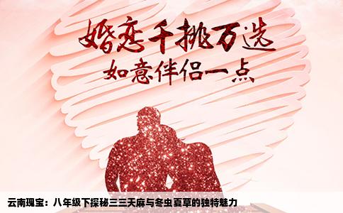 云南瑰宝：八年级下探秘三三天麻与冬虫夏草的独特魅力