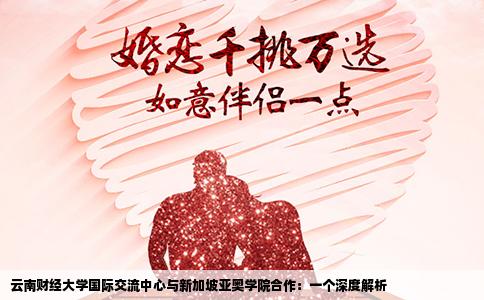 云南财经大学国际交流中心与新加坡亚奥学院合作：一个深度解析