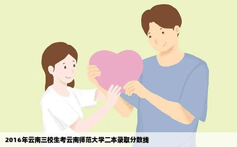 2016年云南三校生考云南师范大学二本录取分数线
