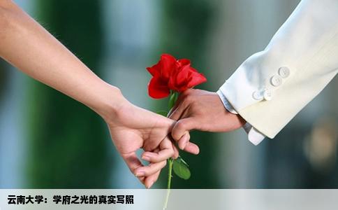 云南大学：学府之光的真实写照