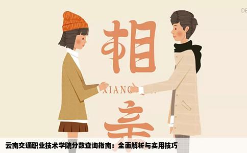 云南交通职业技术学院分数查询指南：全面解析与实用技巧