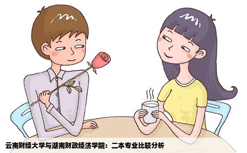 云南财经大学与湖南财政经济学院：二本专业比较分析