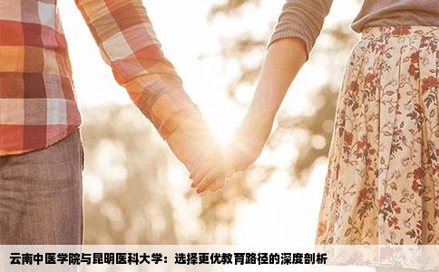 云南中医学院与昆明医科大学：选择更优教育路径的深度剖析
