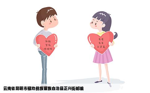 云南省昆明市禄劝彝族苗族自治县正兴街邮编