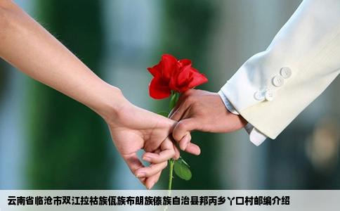 云南省临沧市双江拉祜族佤族布朗族傣族自治县邦丙乡丫口村邮编介绍