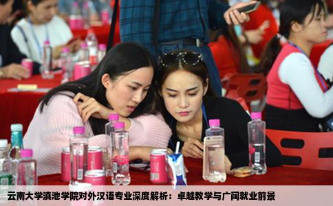 云南大学滇池学院对外汉语专业深度解析：卓越教学与广阔就业前景