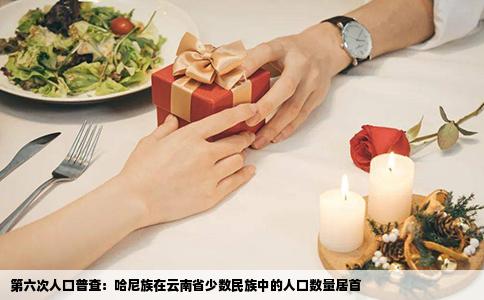 第六次人口普查：哈尼族在云南省少数民族中的人口数量居首