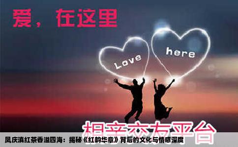 凤庆滇红茶香溢四海：揭秘《红韵华章》背后的文化与情感深度