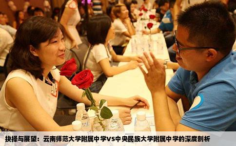 抉择与展望：云南师范大学附属中学VS中央民族大学附属中学的深度剖析