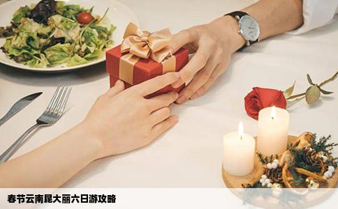 春节云南昆大丽六日游攻略