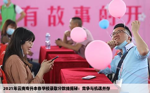2021年云南专升本各学校录取分数线揭秘：竞争与机遇并存