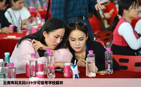 云南专科文科339分可报考学校解析