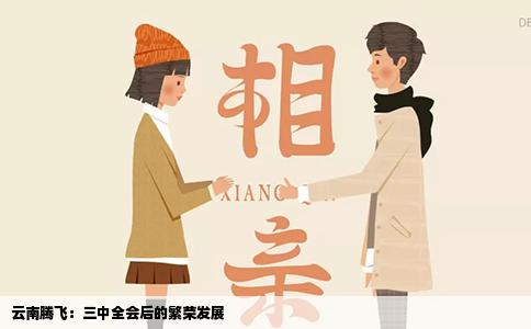 云南腾飞：三中全会后的繁荣发展