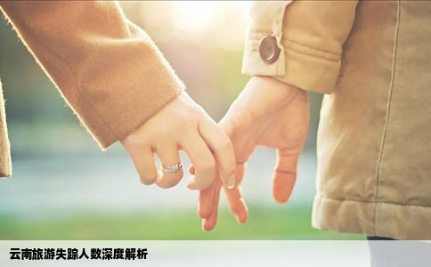 云南旅游失踪人数深度解析