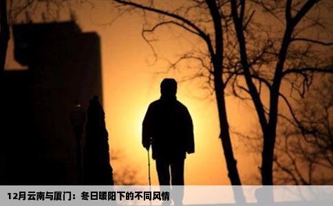 12月云南与厦门：冬日暖阳下的不同风情