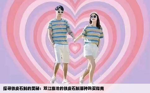 探寻铁皮石斛的奥秘：双江临沧的铁皮石斛苗种购买指南