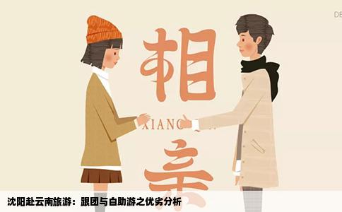 沈阳赴云南旅游：跟团与自助游之优劣分析