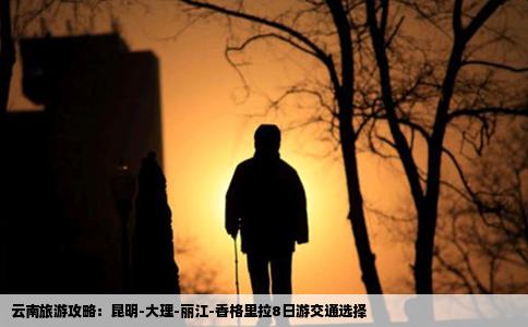 云南旅游攻略:昆明-大理-丽江-香格里拉8日游交通选择