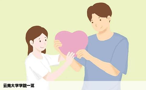 云南大学学院一览