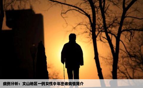 病例分析：文山地区一例女性中年患者病情简介